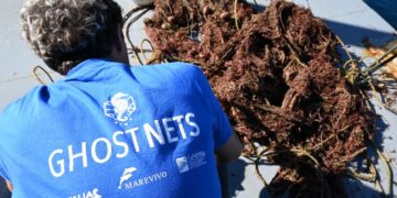 Successo del PNRR-MER “GHOSTNETS”: recuperate 11 tonnellate di attrezzi da pesca dai fondali italiani
