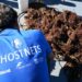 Successo del PNRR-MER “GHOSTNETS”: recuperate 11 tonnellate di attrezzi da pesca dai fondali italiani