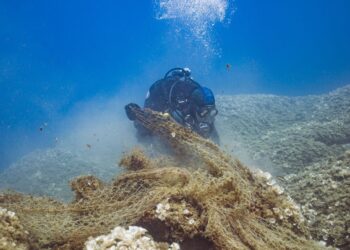 800 kg di reti fantasma recuperate al largo di Siracusa e di Terrasini con il progetto “Liberare il Mare!”