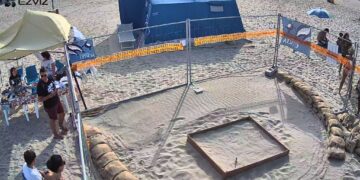 Aggiornamento sul nido di tartaruga marina a Riccione dopo il nubifragio di sabato notte