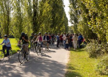Città e capitale naturale. Buone pratiche di sostenibilità urbana