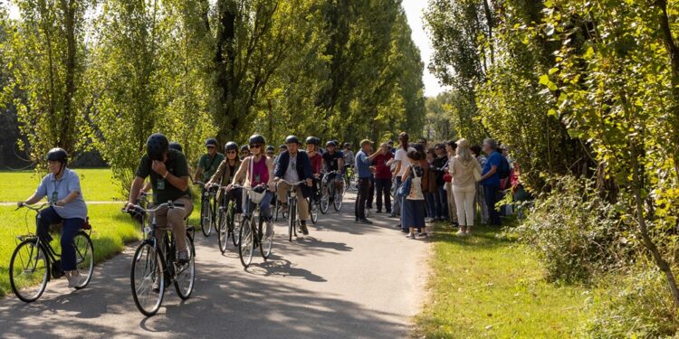 Città e capitale naturale. Buone pratiche di sostenibilità urbana