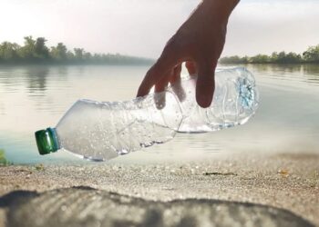 SALVAMARE PO, passeggiata ecologica sull’argine del Po con raccolta dei rifiuti – 27 settembre 2025