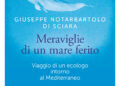 Meraviglie di un mare ferito – Viaggio di un ecologo intorno al Mediterraneo, in libreria dal 24 ottobre