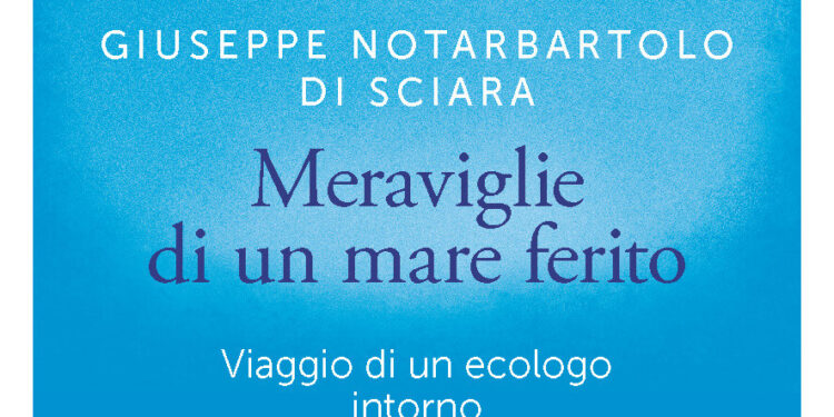 Meraviglie di un mare ferito – Viaggio di un ecologo intorno al Mediterraneo, in libreria dal 24 ottobre
