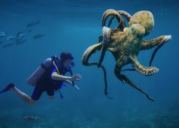 Everything started with a “flash of inspiration”! When you look at the sea, what do you see?