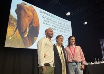 Microplastiche nei polmoni degli animali: nemmeno le riserve naturali del Sudafrica sono più al sicuro