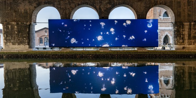 A New Era for the Museo Nacional Thyssen-Bornemisza as a Landmark TBA21 Donation Creates a New Civic Hub for Contemporary Art, Ecology, and Public Participation