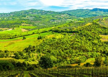 Sondaggio Life4oakforests: indagine sulle percezioni del paesaggio forestale e sulle misure di conservazione