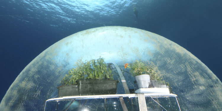Giardino di Nemo: quando il mare diventa un laboratorio di ricerca – Giacomo Marchione
