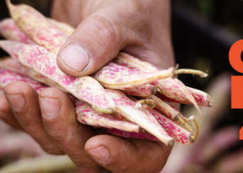 Giornata Mondiale dell’Alimentazione: boom di costi, serve un’agricoltura meno dipendente da fertilizzanti chimici e pesticidi